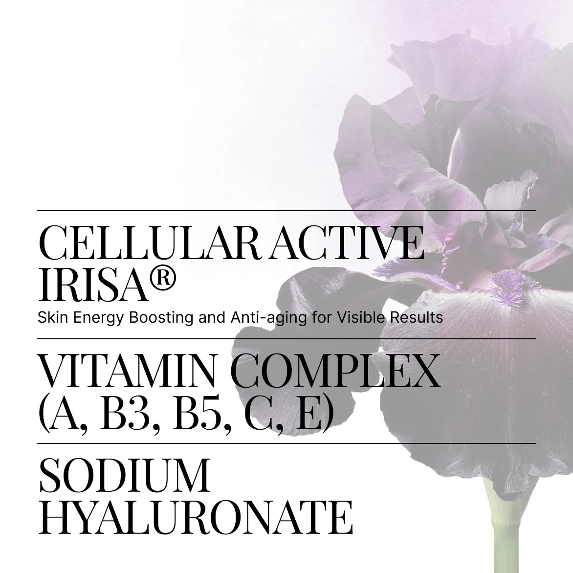 Protect Essential Vitamin Cream 30ml